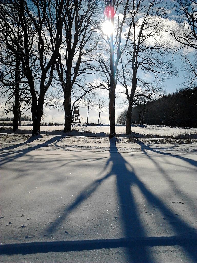 2015-01-28 13.13.29.jpg